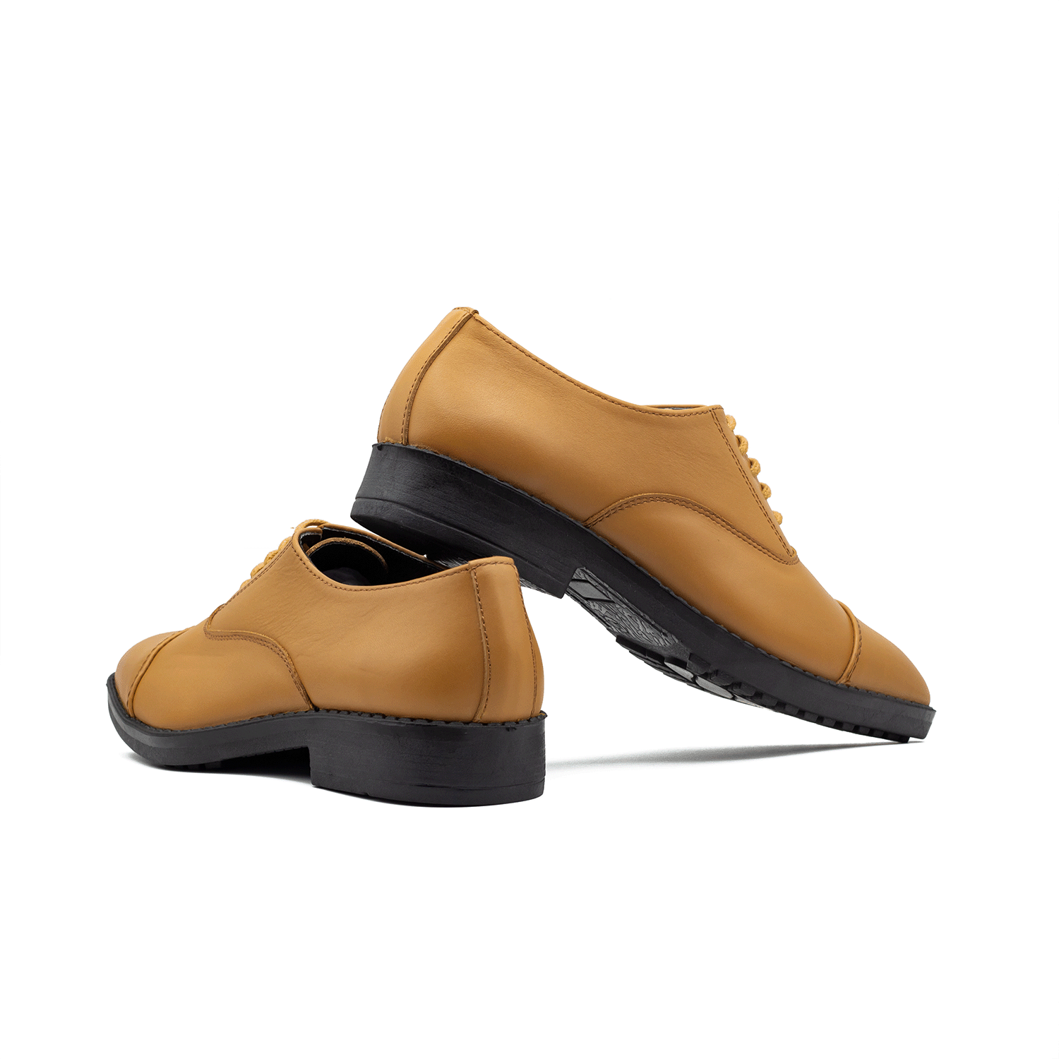 Regular Oxford | Mustard| WLOX-42M - Walrus Lifestyle