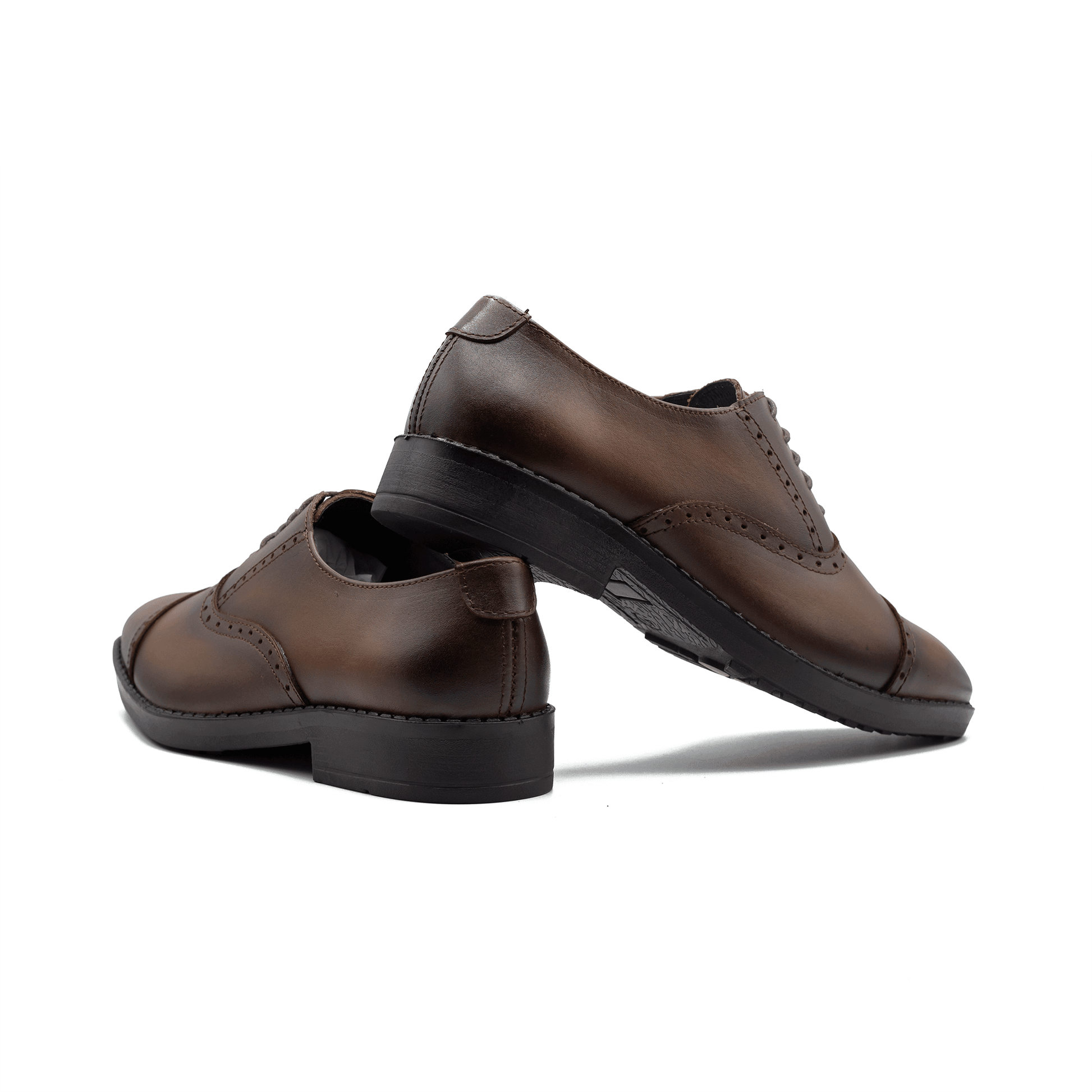 Handcrafted Oxford| Chocolate | WLOX-43C - Walrus Lifestyle