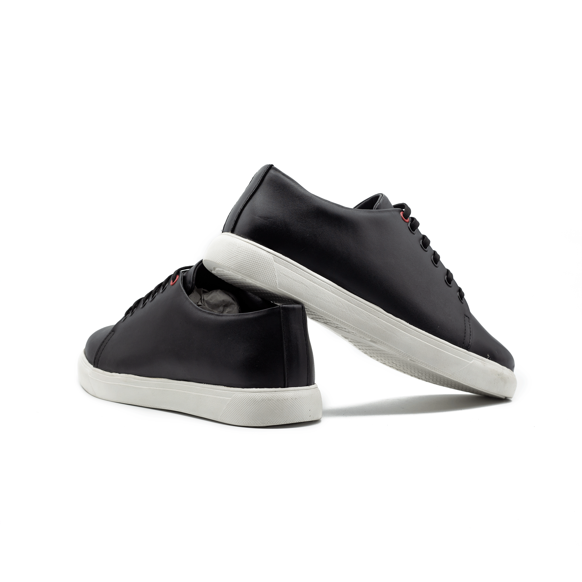 Regular Series| Black| WLS-05B - Walrus Lifestyle