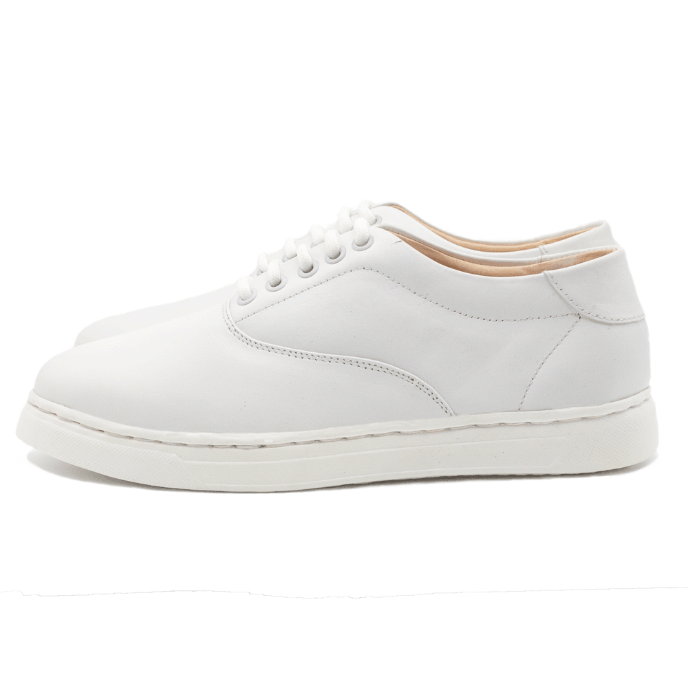 White Leather Sneaker | White | WLS-22W (Clearance Sale) - Walrus Lifestyle