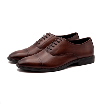 Regular Oxford | Chocolate| WLOX-42C - Walrus Lifestyle