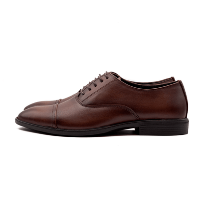 Regular Oxford | Chocolate| WLOX-42C - Walrus Lifestyle